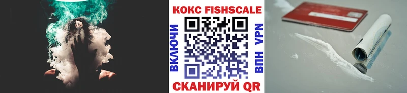 Купить  Дегтярск  COCAIN Fish Scale 