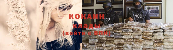 стафф Усмань