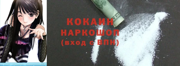 твердый Коряжма