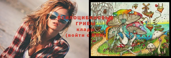 ALPHA-PVP Усинск