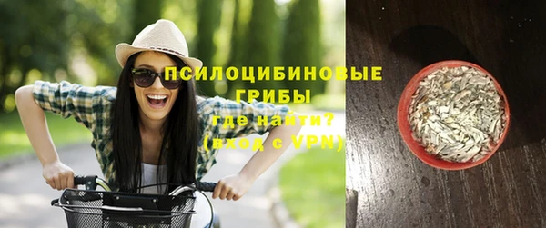 стафф Усмань