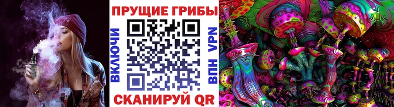 Псилоцибиновые грибы прущие грибы  Купить  Дегтярск 